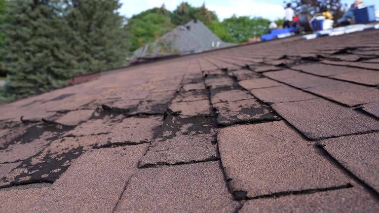 Best Gutter Installation and Repair  in Duluth, WA