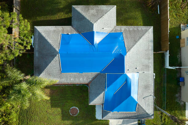 Best Steel Roofing  in Duluth, WA