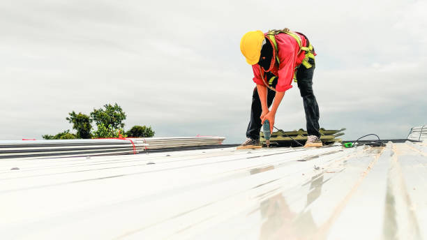 Best Hot Roofs  in Duluth, WA