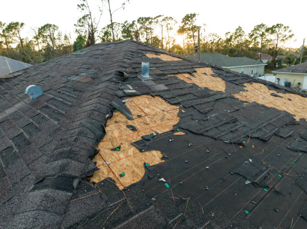 Best Roof Moss and Algae Removal  in Duluth, WA